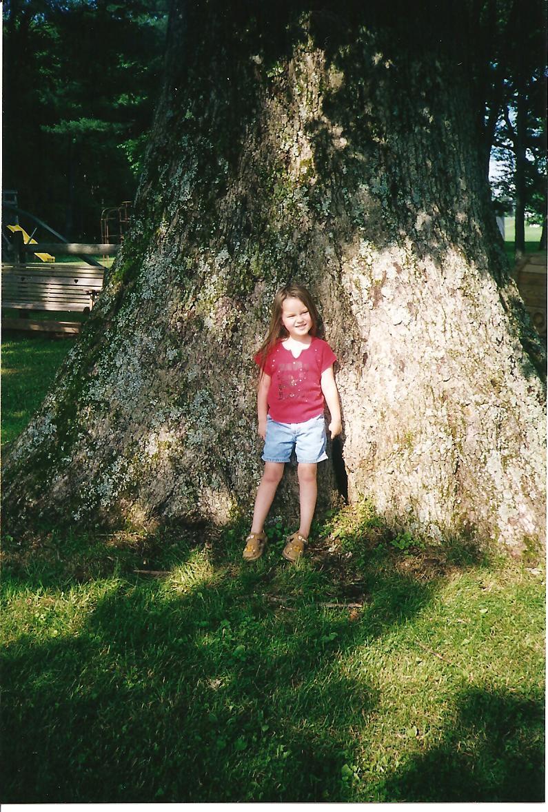 tree.jpg